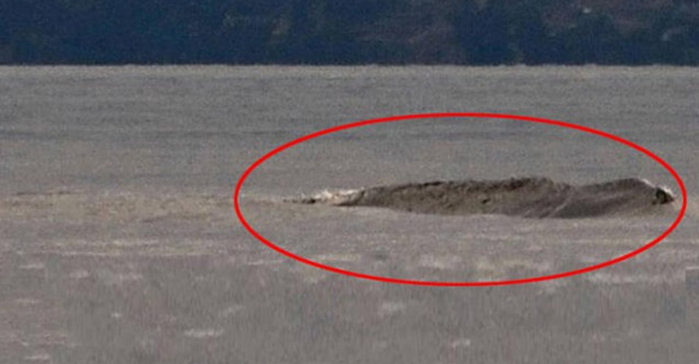 Van Gölü canavarı gerçek mi? 