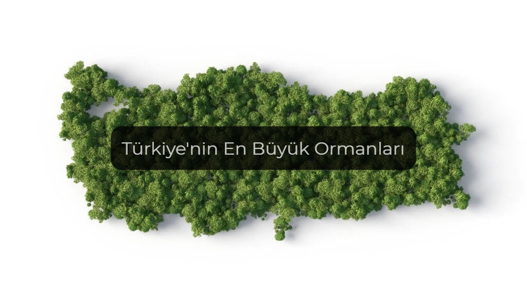 Türkiye'nin orman haritası, Türkiye'nin en büyük ormanları