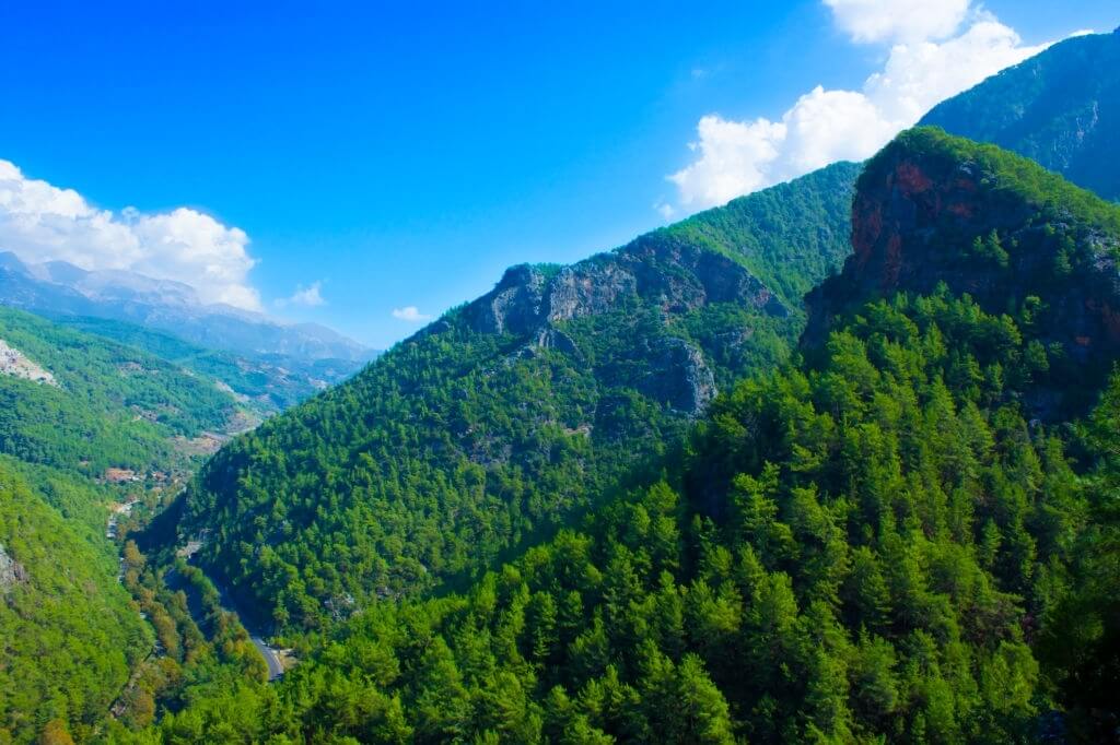 Türkiye'nin en büyük ormanları
