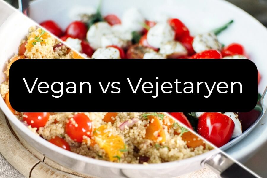 vegan vejetaryen farkı ne?