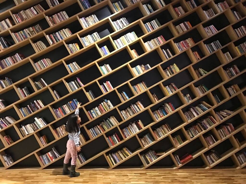 İstanbul kütüphaneleri